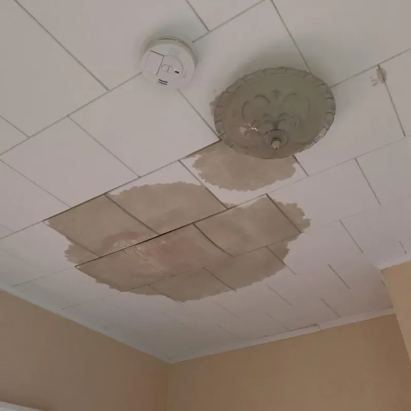 Ceiling Water Damage Repair in Blakely, PA