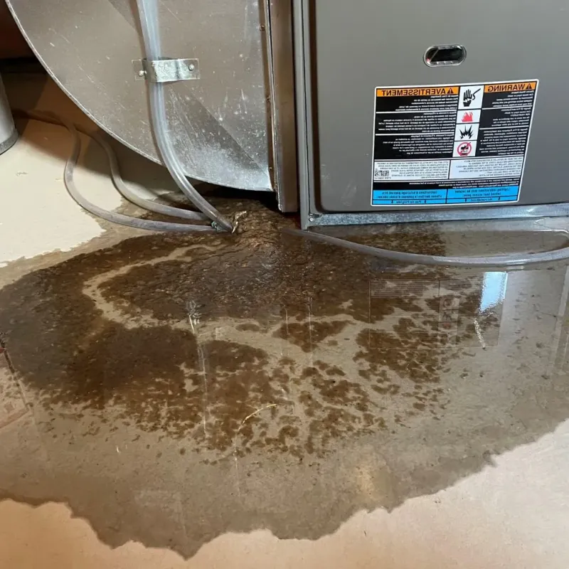 Pipe Burst and Leak Restoration in Blakely, PA