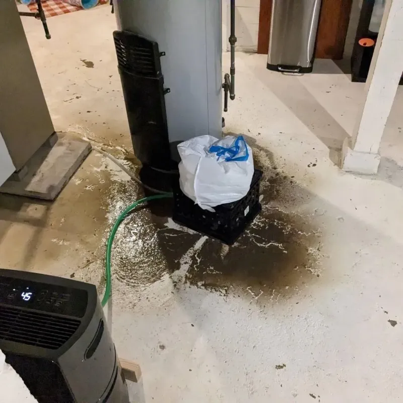Sewage Backup Cleanup Service in Blakely, PA